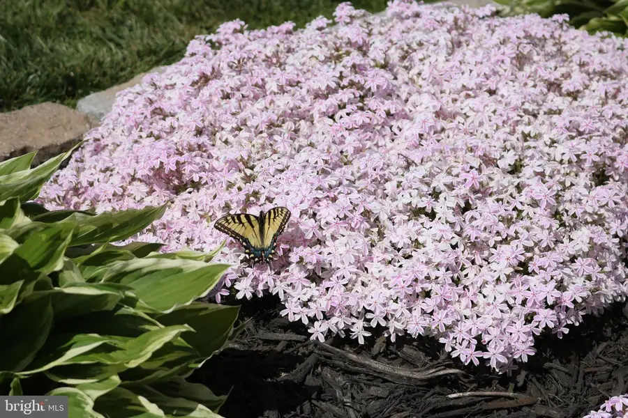 6371 Pointer Ln, King George, VA 22485 - #3