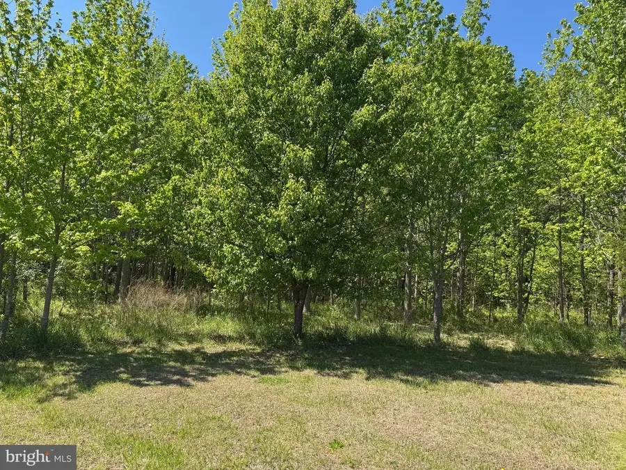 1913 Swan Way Ln, King George, VA 22485 - #3