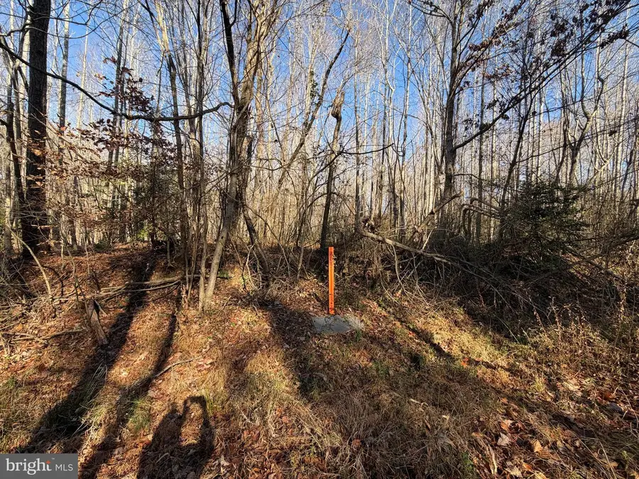 Lot 2a Turkey Acres Rd, King George, VA 22485 - #2