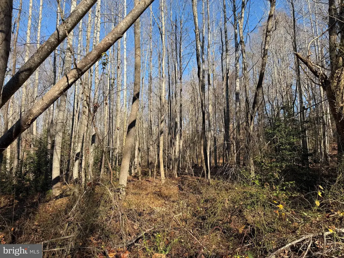 Lot 2 B Turkey Acres Rd, King George, VA 22485 - #1