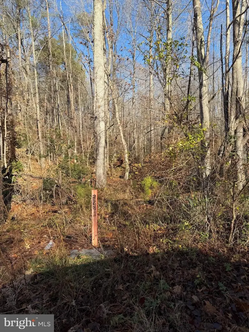 Lot 2 B Turkey Acres Rd, King George, VA 22485 - #2