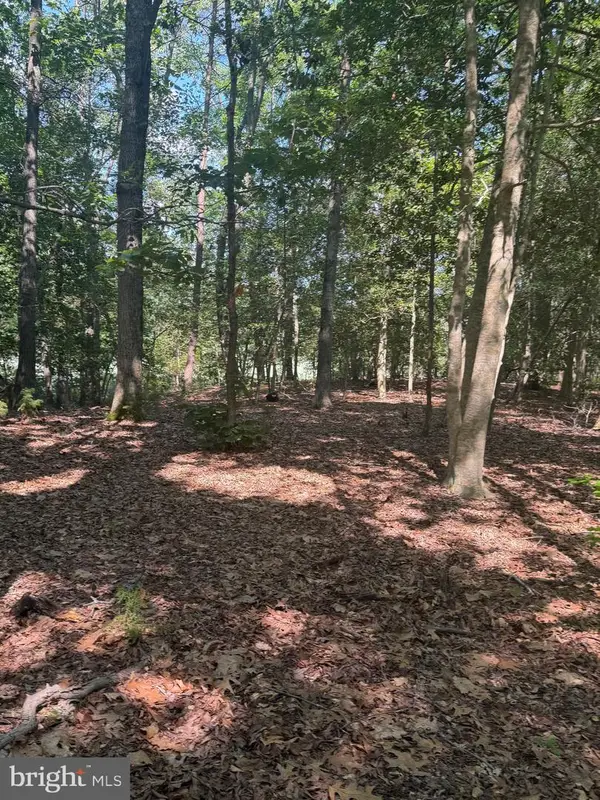 0000 Nancy Ln, KING GEORGE, VA 22485