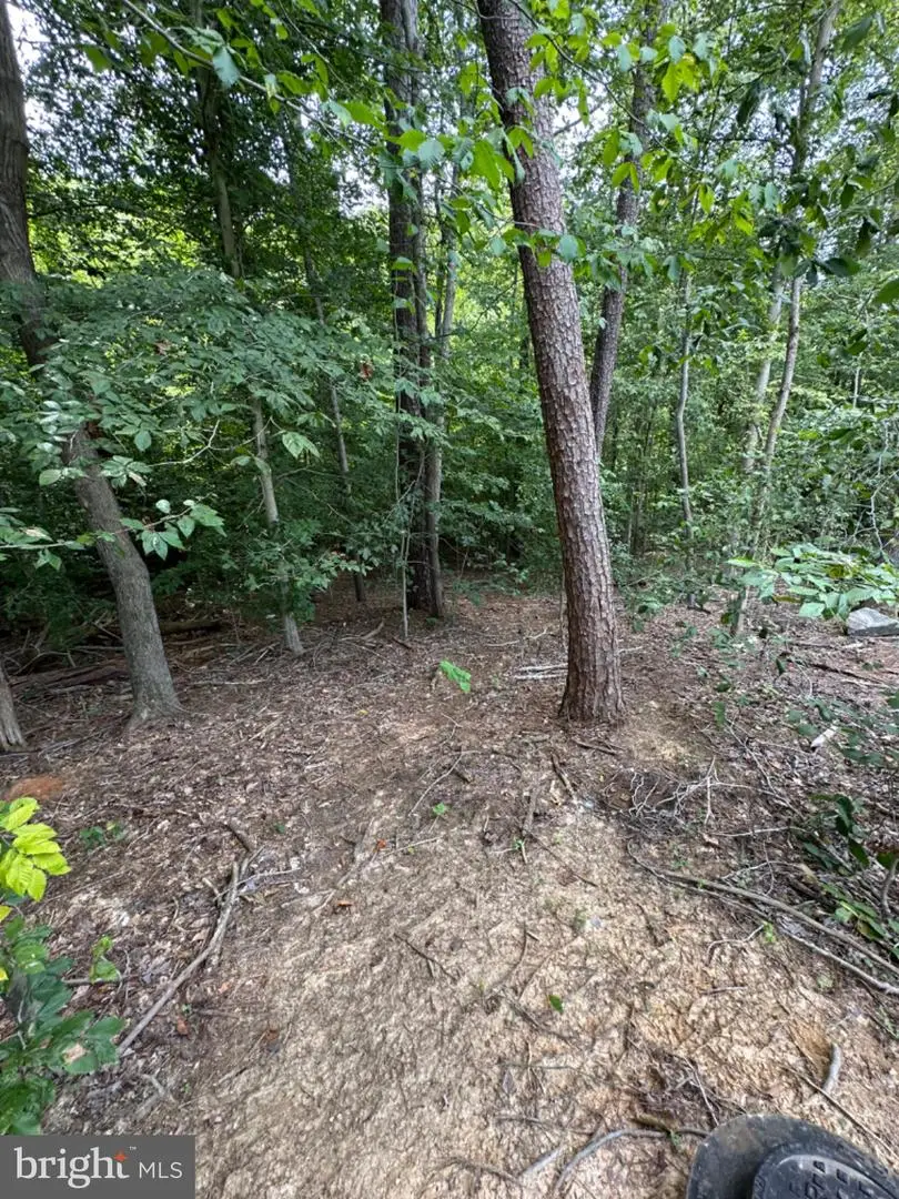 Lot 150, Presidential Lks, King George, VA 22485 - #2
