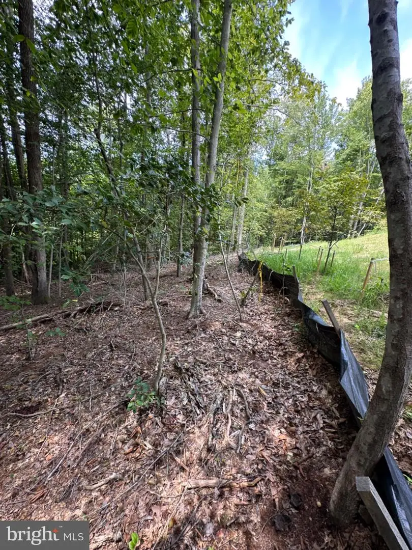 Lot 150, Presidential Lks, King George, VA 22485 - #3