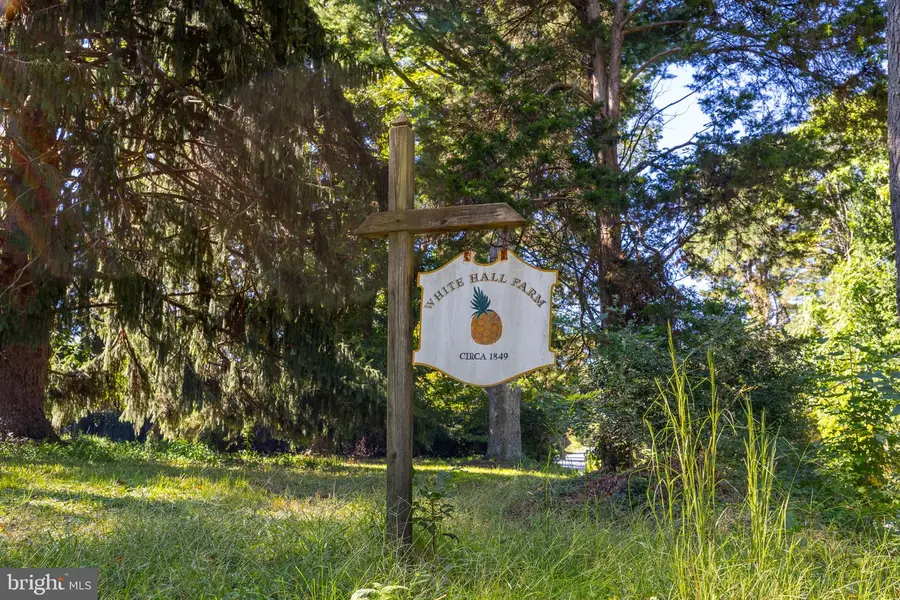 14434 Washington Mill Rd, King George, VA 22485 - #2