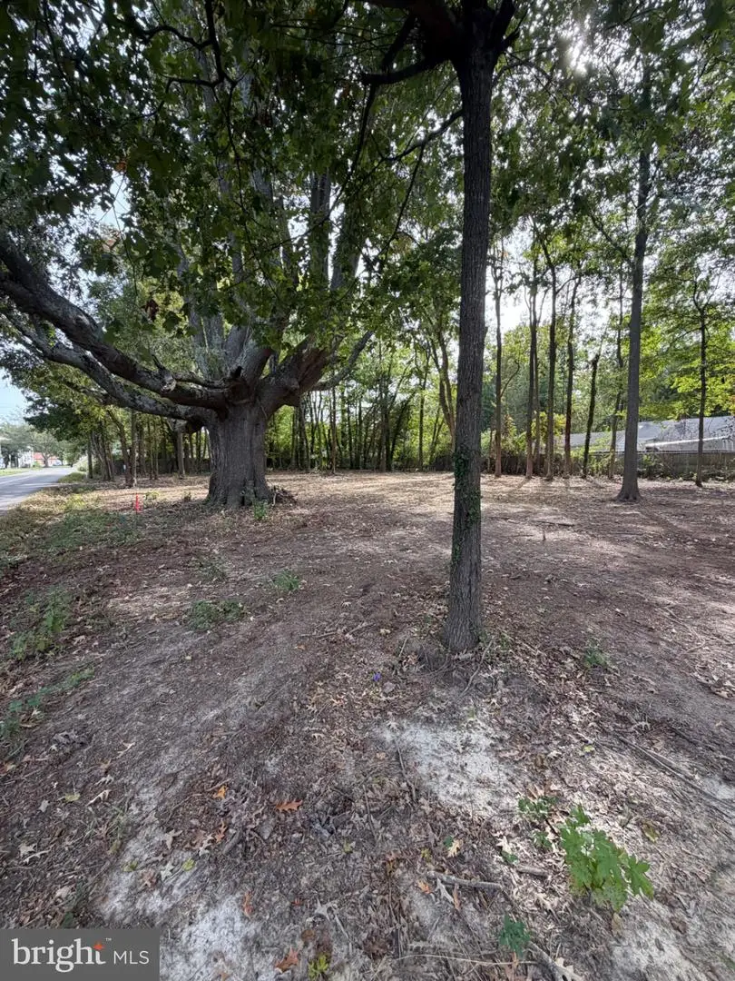 17000 15th St, King George, VA 22485 - #2