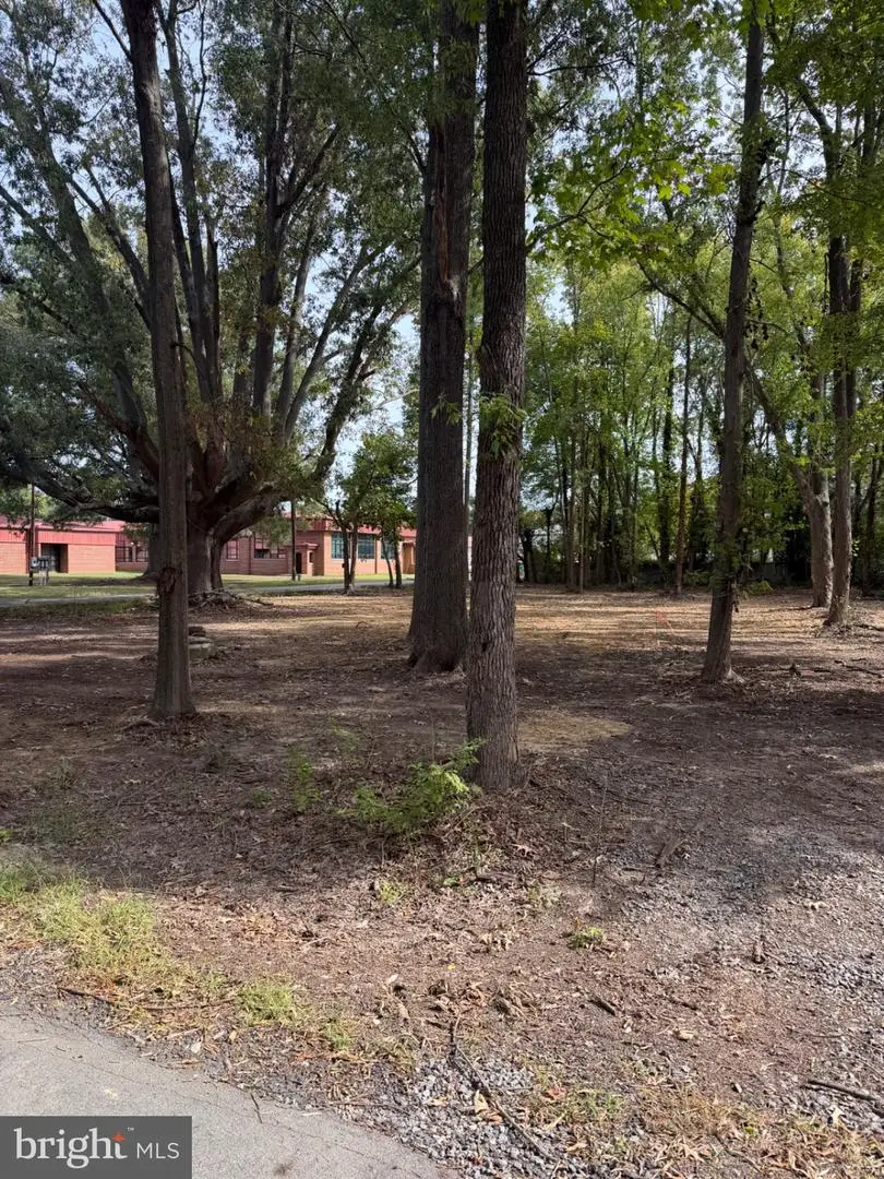17000 15th St, King George, VA 22485 - #3