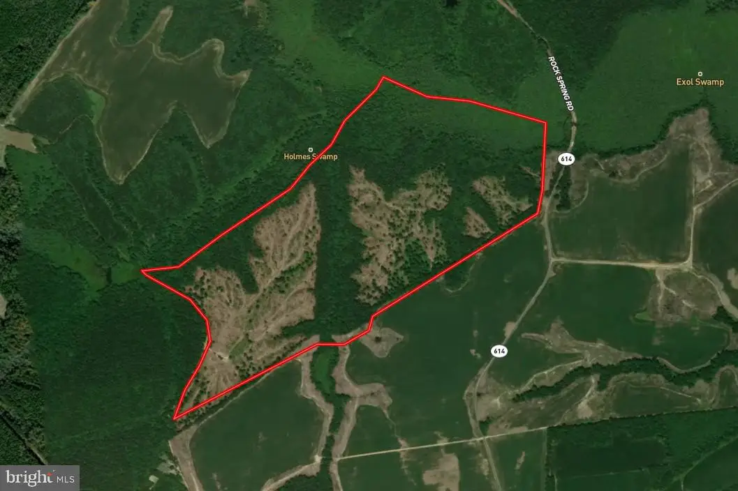 Rock Spring Rd, King And Queen Court House, VA 23085 - #1