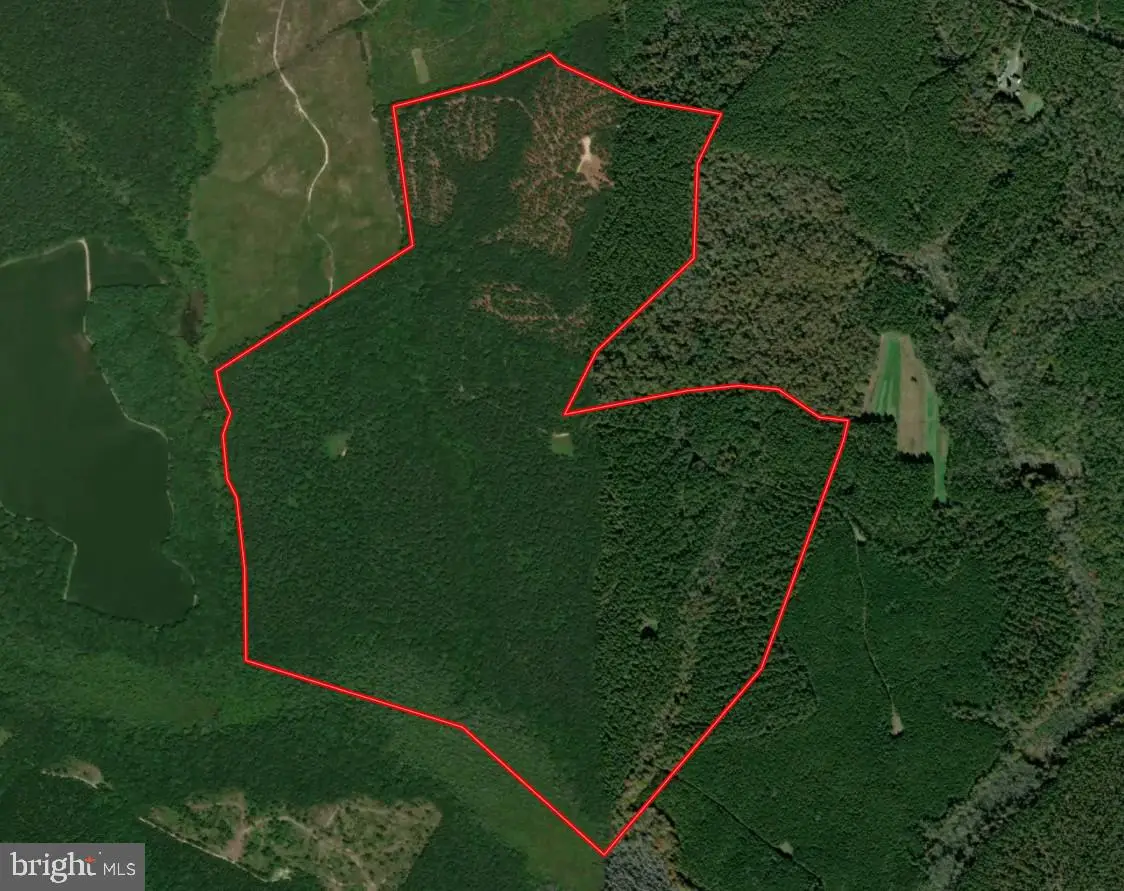 Poplar Grove Rd, Center Cross, VA 22437 - #1