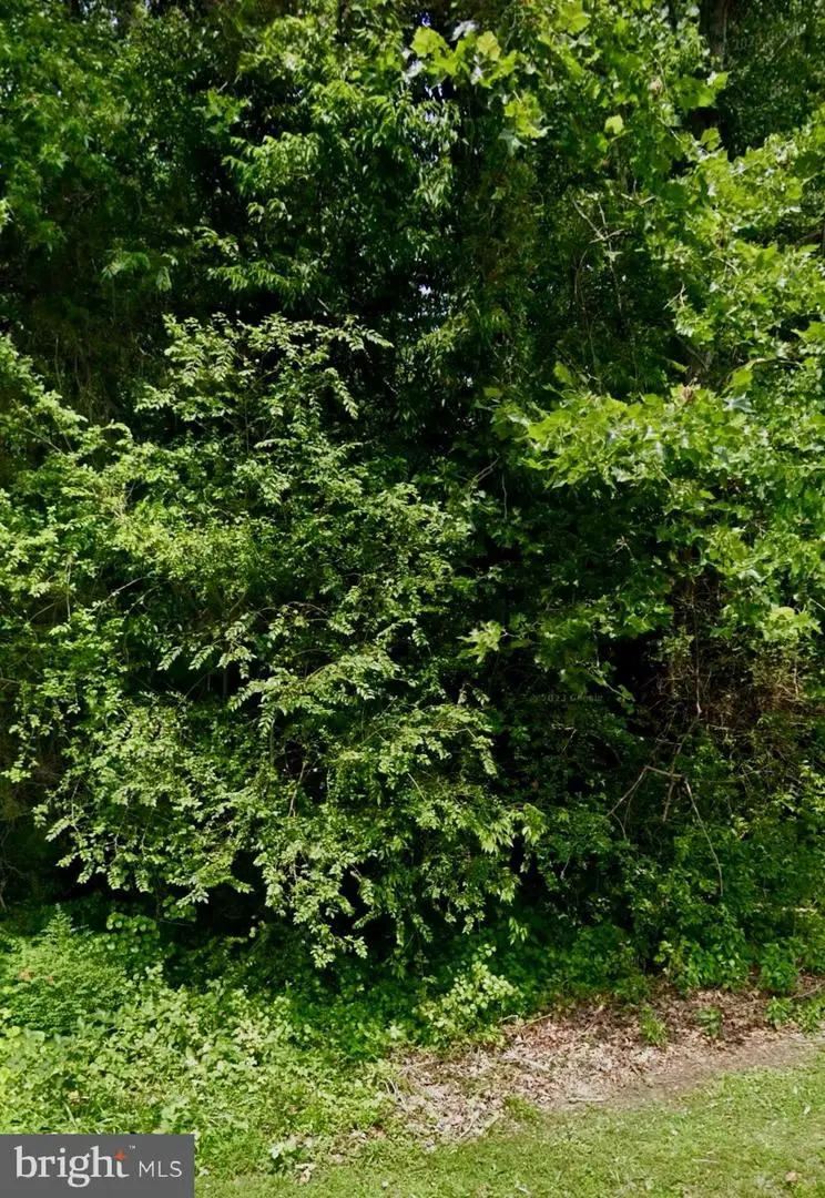 Lot 15 Oxford Ln, King William, VA 23086 - Image #2