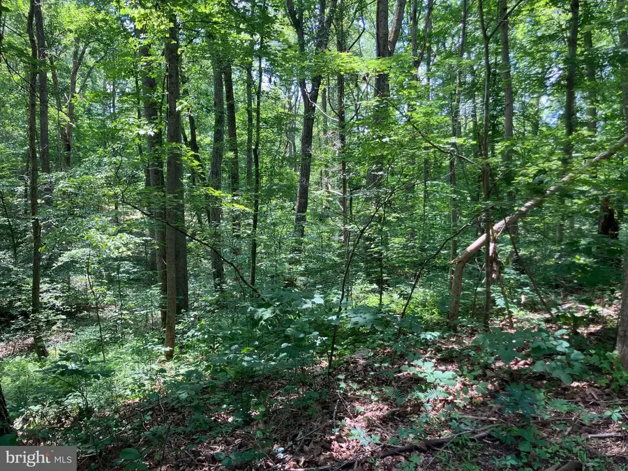 Lot 1223 N Lakeshore Dr, Louisa, VA 23093 - Image #2