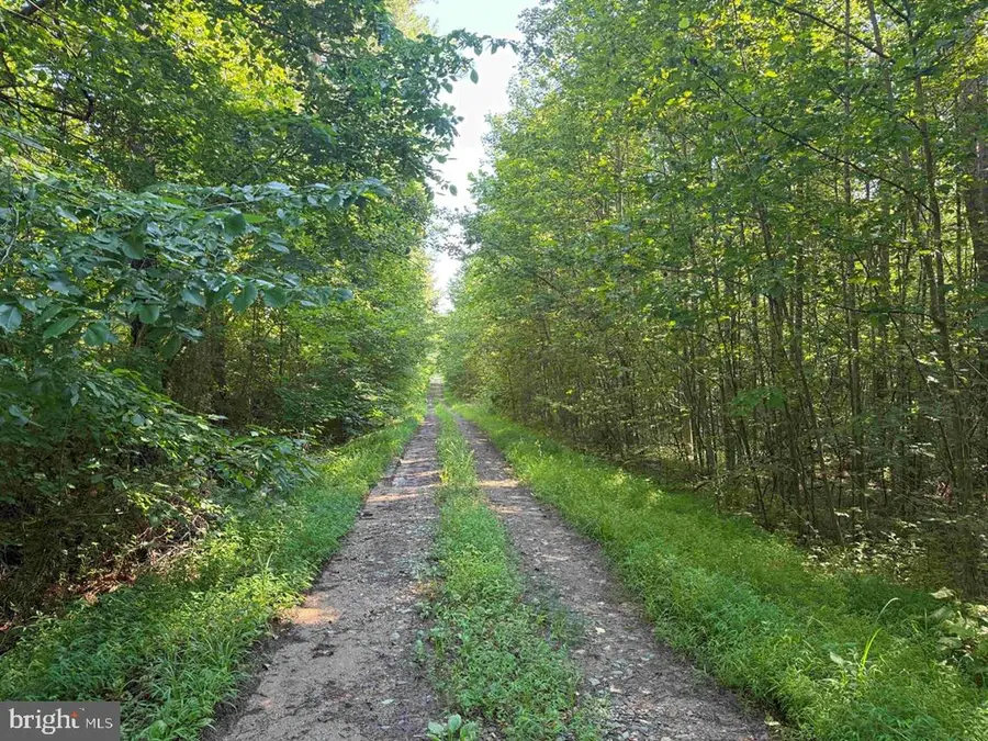 Bannister Town Road (tract Dtof Louisa), Louisa, VA 23093 - Image #2