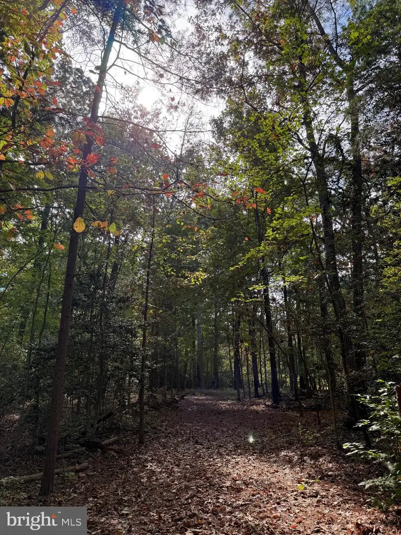 Lot 28 Turkey Trail, Mineral, VA 23117 - Image #1