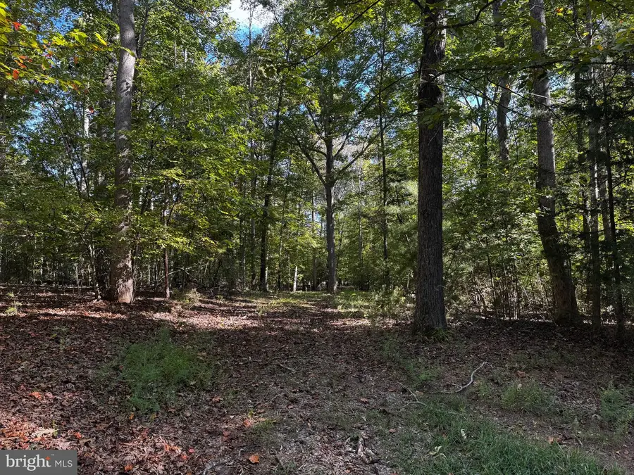 Lot 2 Sir Walter Drive, Bumpass, VA 23024 - Image #3