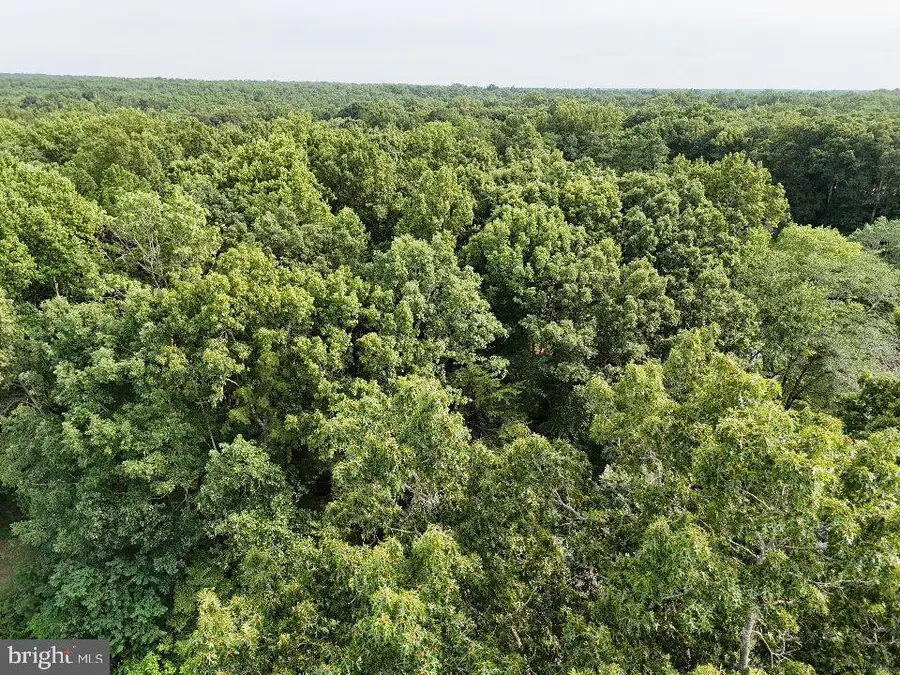 15 Hanback Rd, Gordonsville, VA 22942 - Image #2