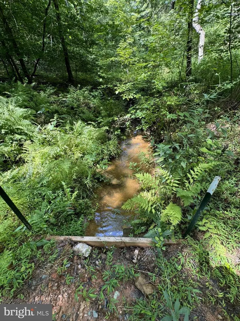 398 Bayles Ln, Louisa, VA 23093 - Image #3