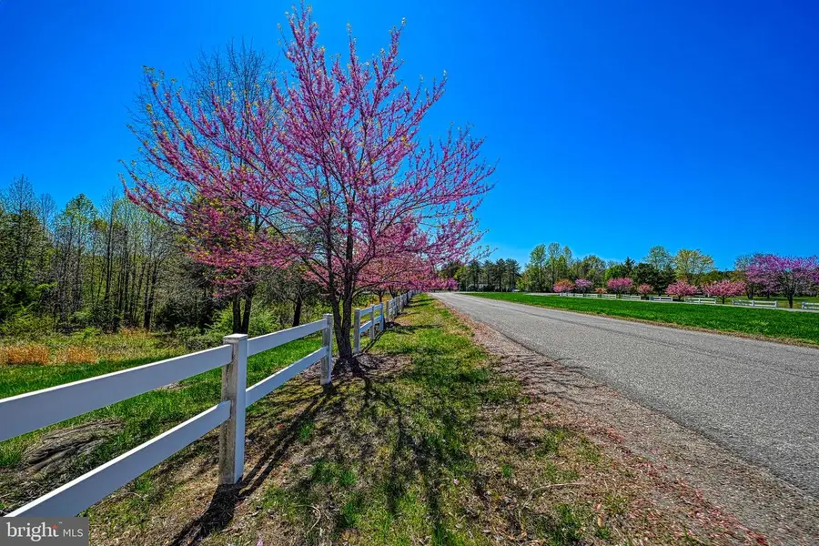 Lot 166 Travellers, Mineral, VA 23117 - #2