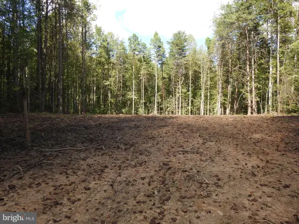 541 Equestrian Landing Trl, BUMPASS, VA 23024