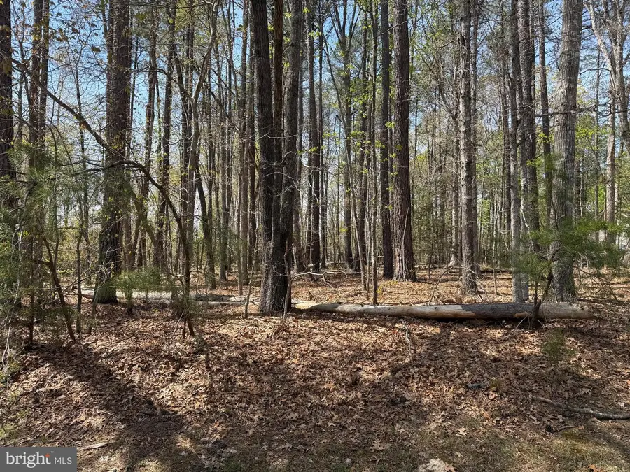 Windwood Coves Blvd, Mineral, VA 23117 - #2