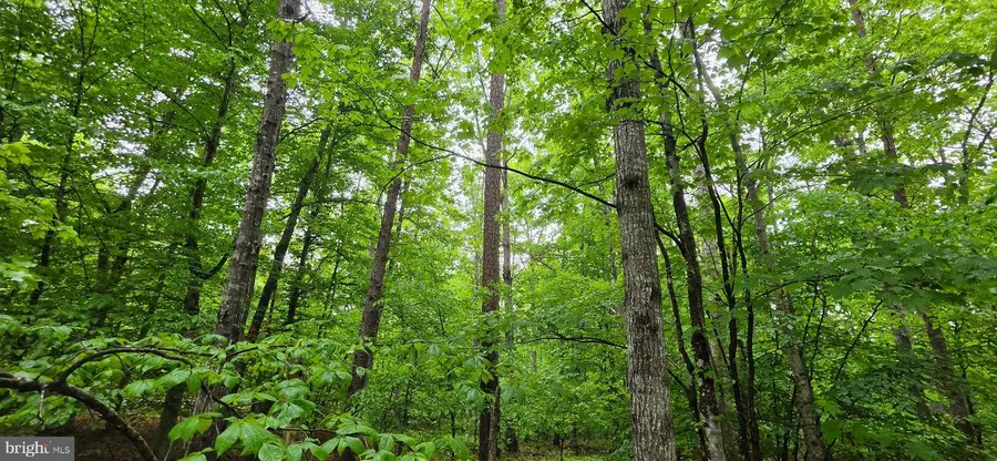 Lot 18 Glen Eagles, Gordonsville, VA 22942 - #3