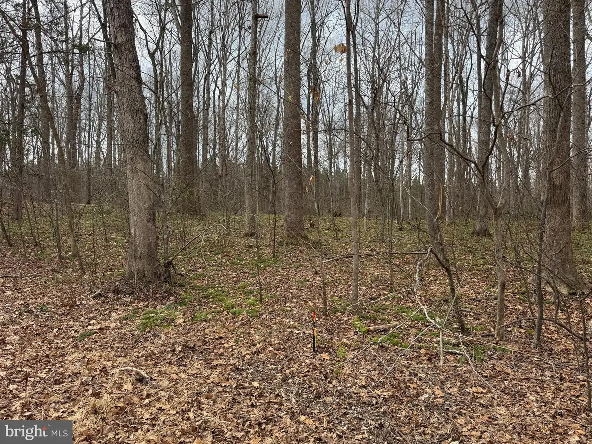 Lot 7 Harness Ln, Louisa, VA 23093 - #1
