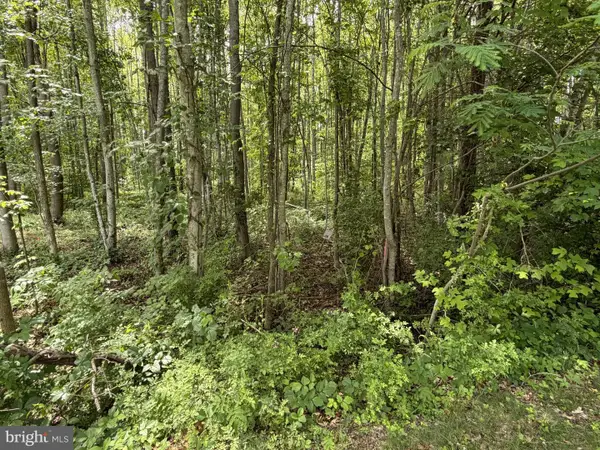 -lot 14 Overton Dr, BUMPASS, VA 23024