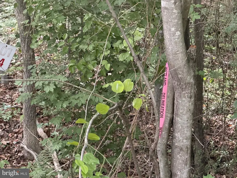 -lot 14 Overton Dr, Bumpass, VA 23024 - #2