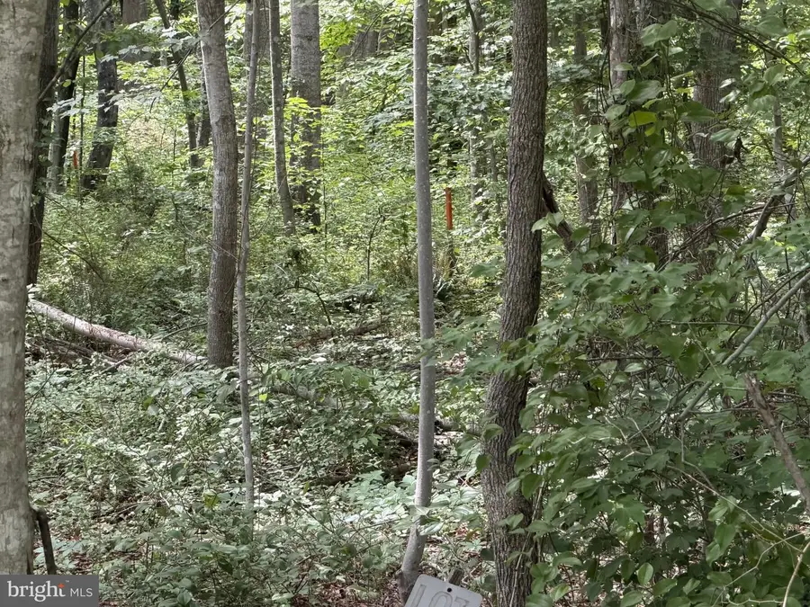 -lot 14 Overton Dr, Bumpass, VA 23024 - #3