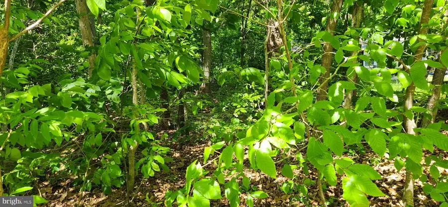Nottingham Road 0, Louisa, VA 23093 - #2