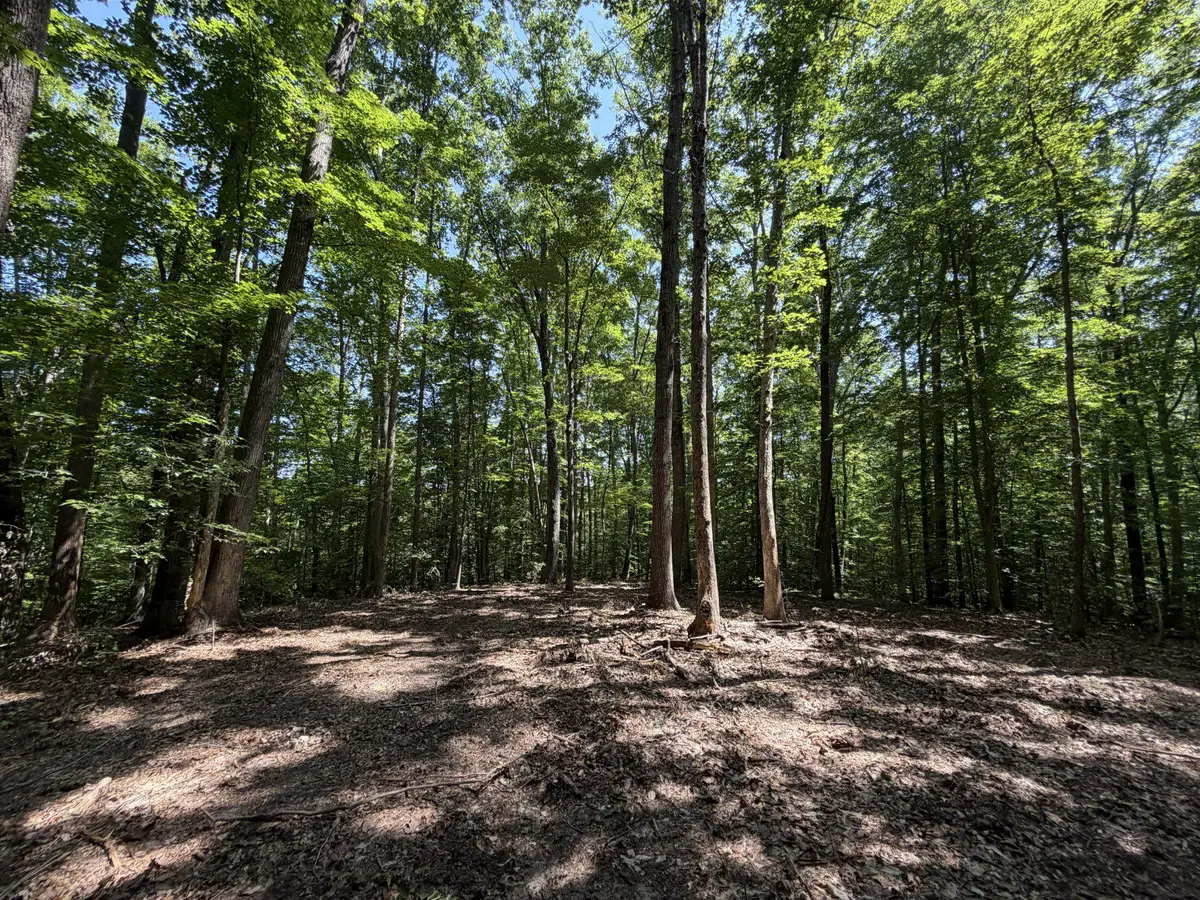 Lot 4a Parrish Rd, Louisa, VA 23093 - #1