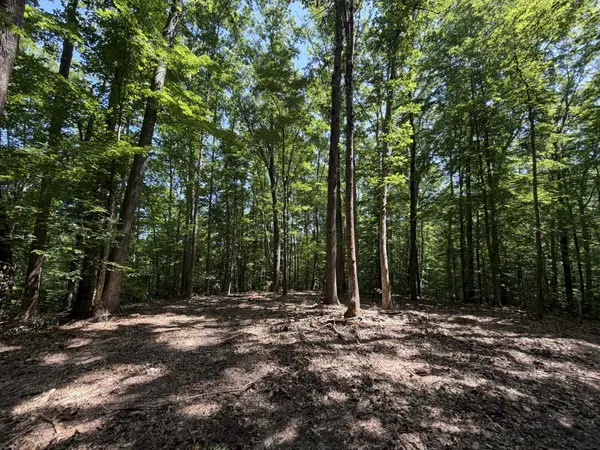 Lot 4a Parrish Rd, LOUISA, VA 23093
