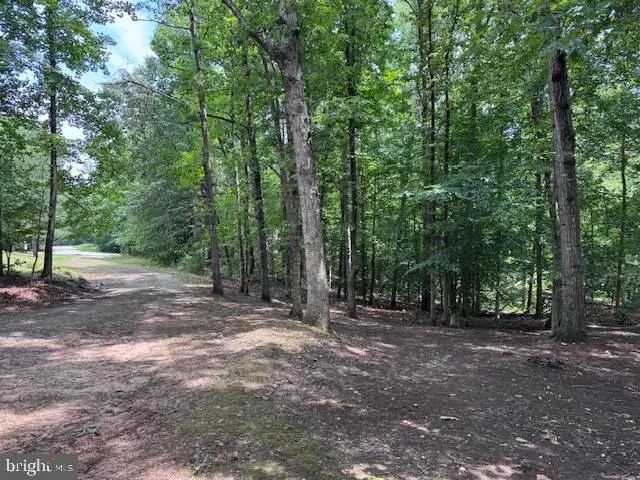 Lot 13 S Bluewater Blvd, Mineral, VA 23117 - #1