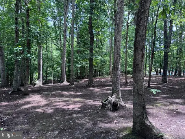 Lot 13 S Bluewater Blvd, Mineral, VA 23117 - #2