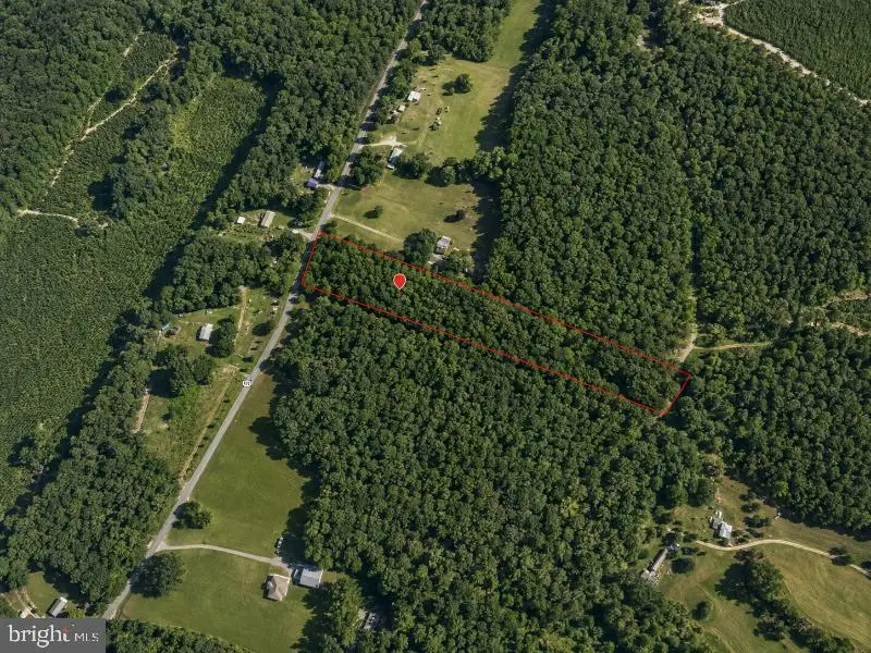 000-000 Hensley Rd, Mineral, VA 23117 - #3