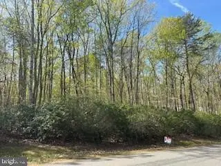 Lot 16 Pine Harbour, Mineral, VA 23117 - #2