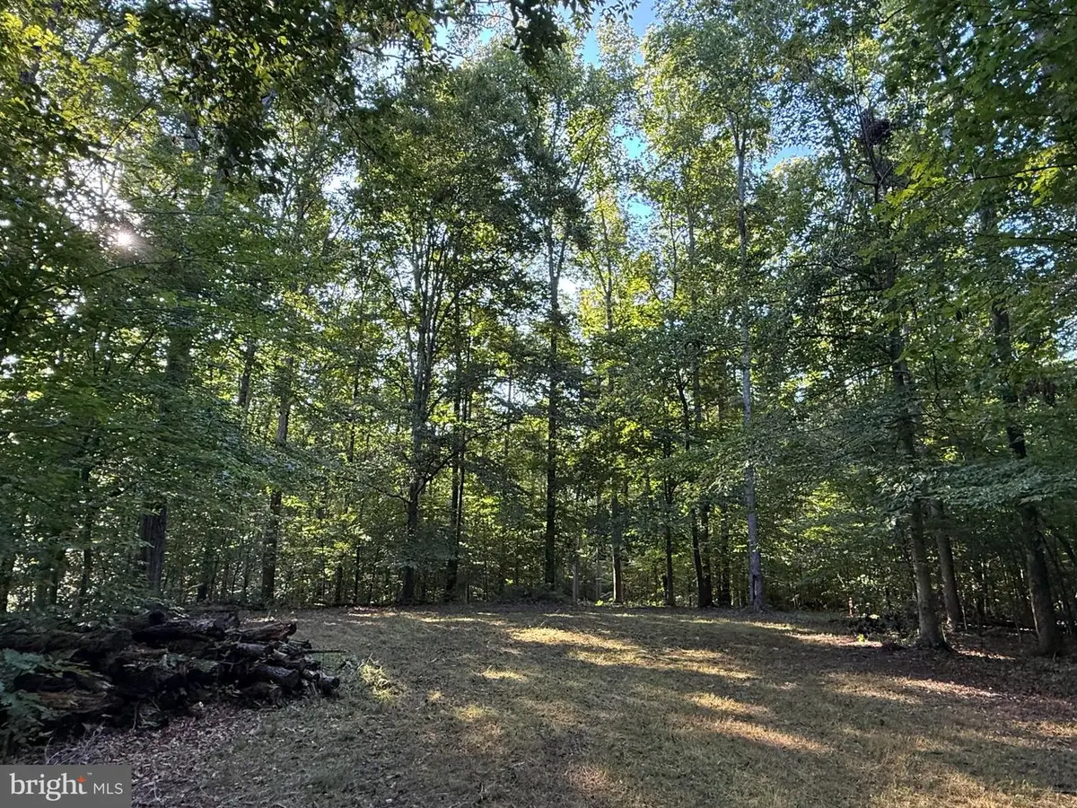 Lot 79b Everett Ln, Louisa, VA 23093 - #1