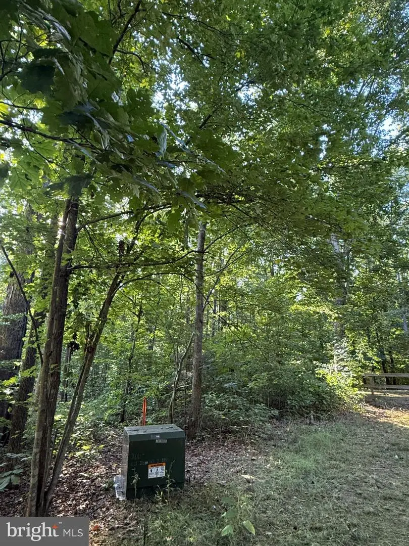 Lot 79b Everett Ln, Louisa, VA 23093 - #3