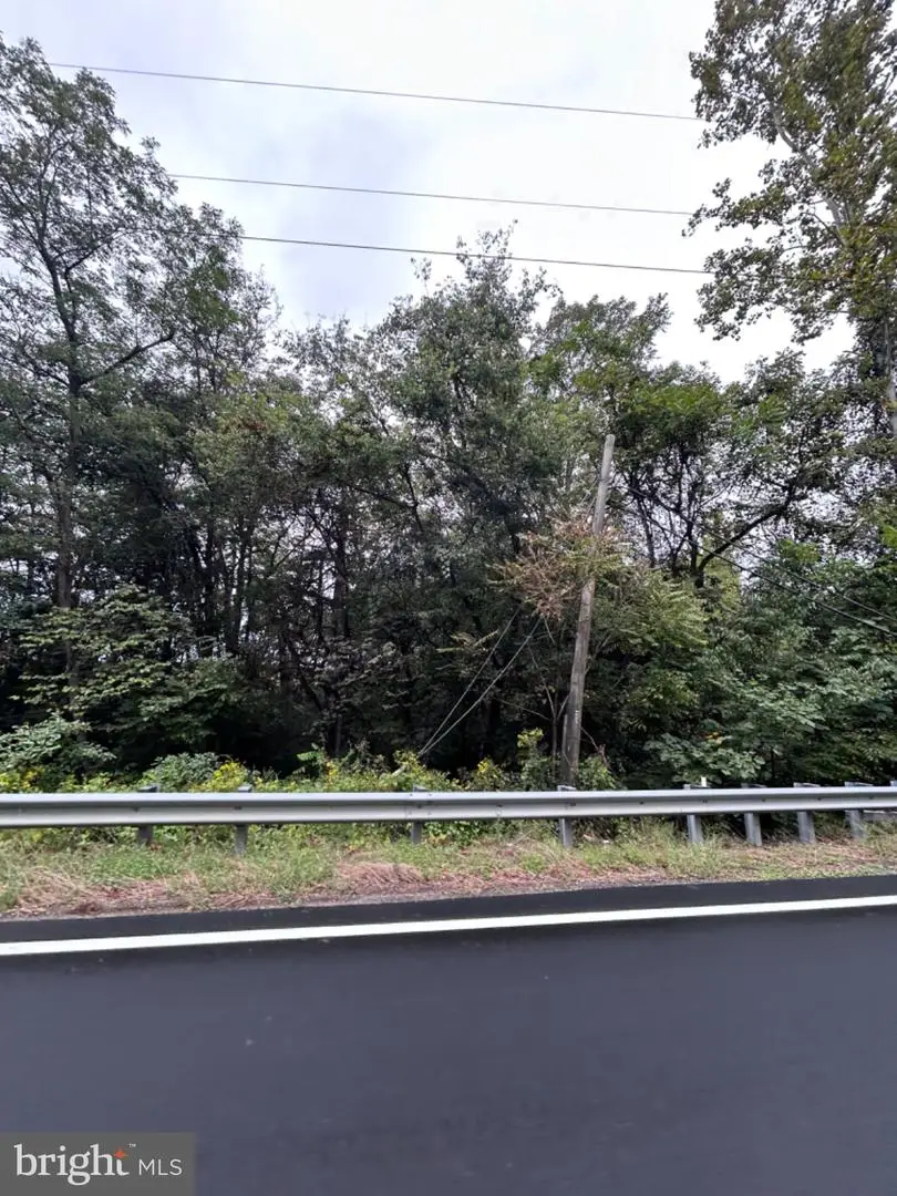 Lot 1 Gordon Ave, Gordonsville, VA 22942 - #1