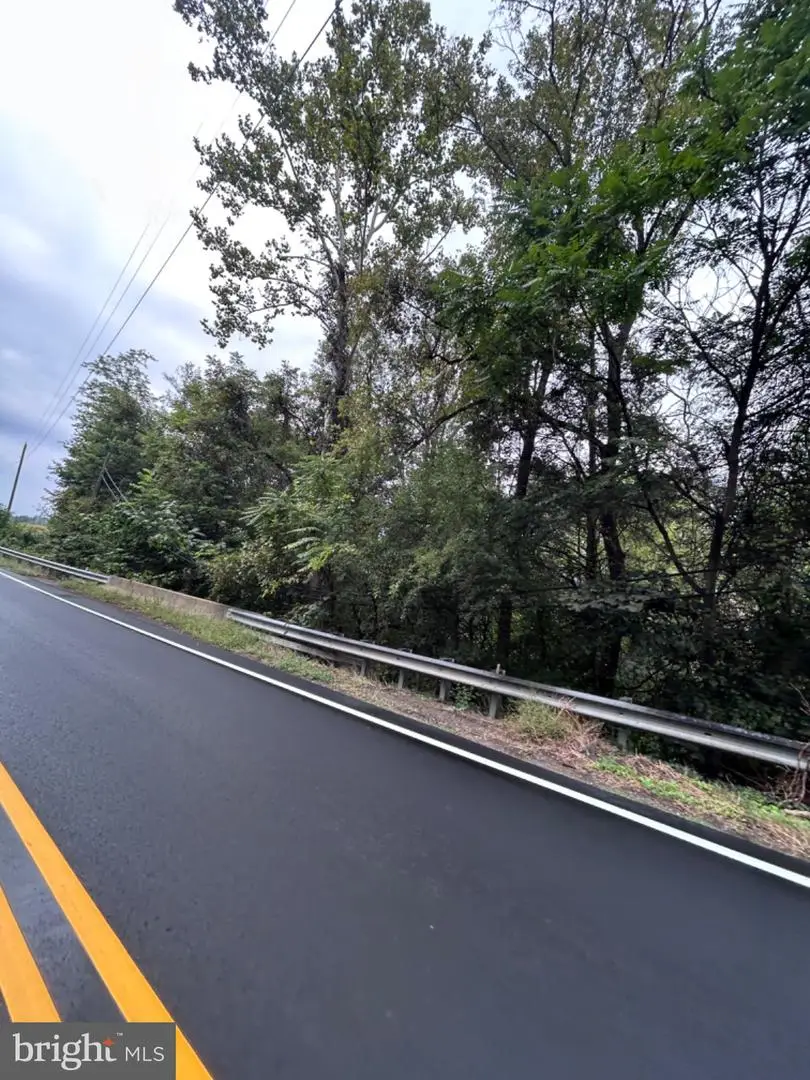 Lot 1 Gordon Ave, Gordonsville, VA 22942 - #3