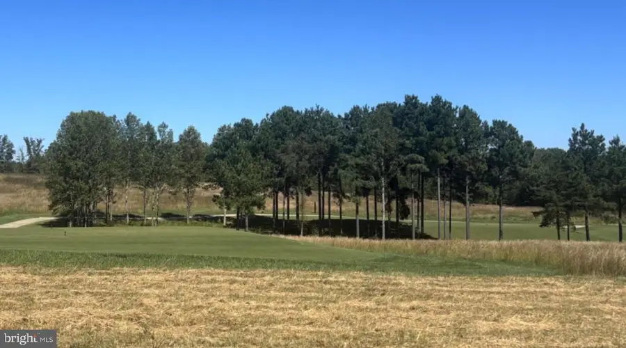 Lot 112 Tatum Dr, Mineral, VA 23117 - #2
