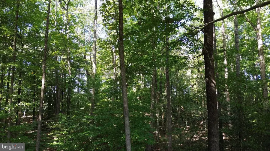 3 Acres Belsches Rd, Bumpass, VA 23024 - #3