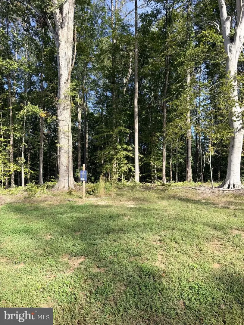 Lot 71 Compass Cv, Mineral, VA 23117 - #2