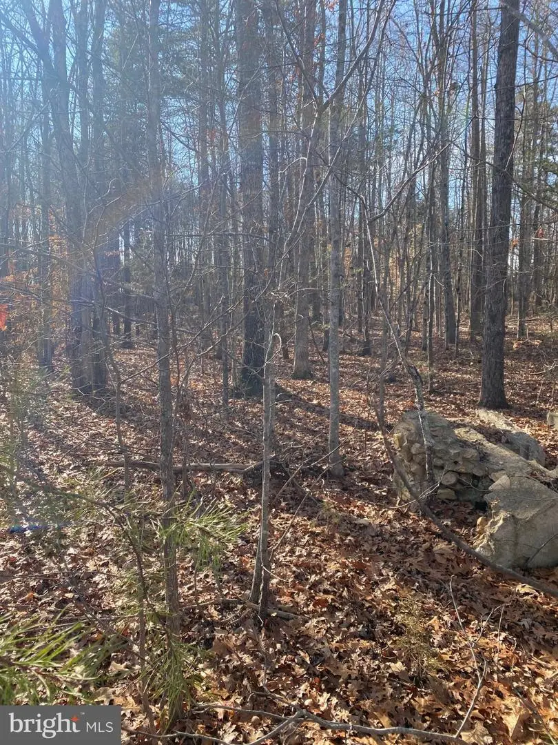 Tbd Nutbush #prn 996, Green Bay, VA 23942 - #3