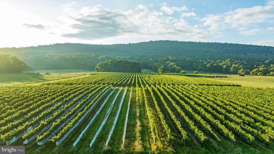 14727 Mountain Rd, Hillsboro, VA 20132 - Image #3