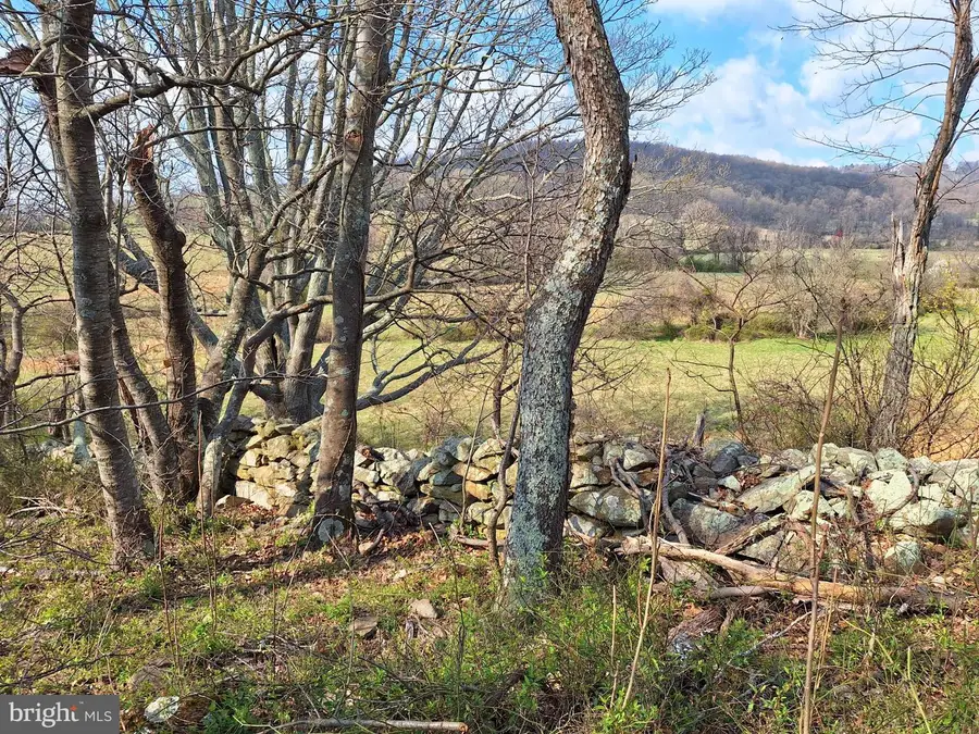 18590 Appx Foggy Bottom Rd., Bluemont, VA 20135 - Image #3
