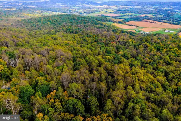 Appalacian Trail Rd, ROUND HILL, VA 20141