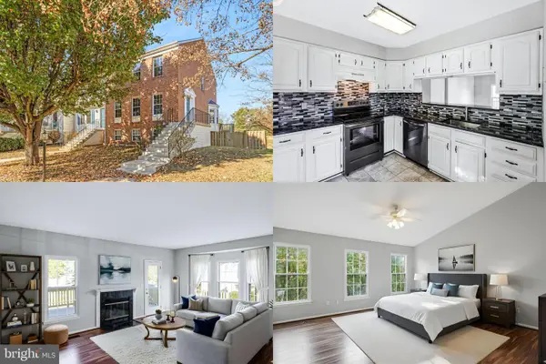 21031 Lemon Springs Ter, ASHBURN, VA 20147