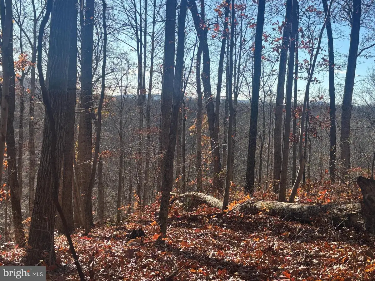 38196 Lime Kiln Rd, Middleburg, VA 20117 - Image #1