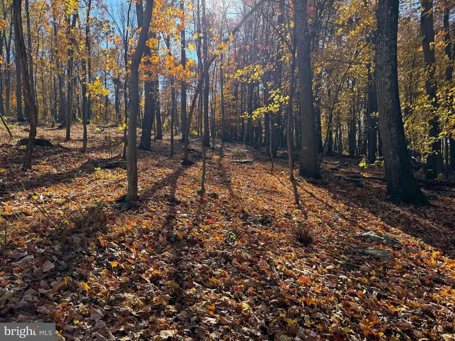 0 Digging Bear Ln, Purcellville, VA 20132 - Image #2