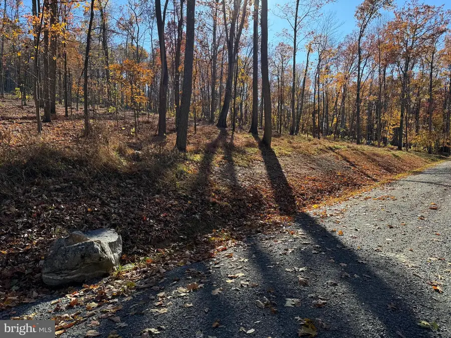 0 Digging Bear Ln, Hillsboro, VA 20132 - Image #2